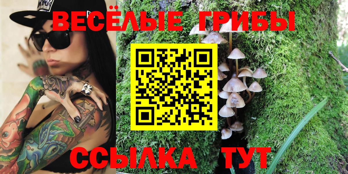 Псилоцибиновые грибы ЛСД  Вход с VPN  Когалым  Галлюциногенные грибы мухоморы 